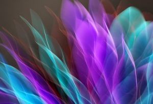 công bằng F8bet